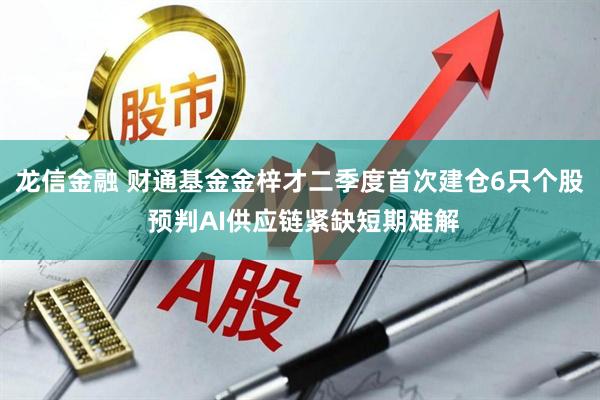 龙信金融 财通基金金梓才二季度首次建仓6只个股 预判AI供应链紧缺短期难解