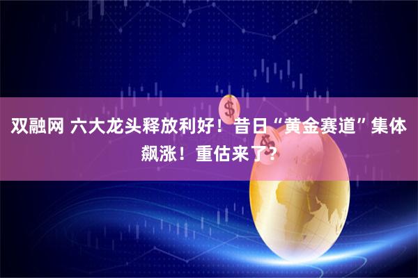 双融网 六大龙头释放利好！昔日“黄金赛道”集体飙涨！重估来了？